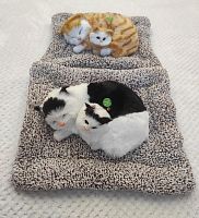 "Кошка с котенком" во Златоусте